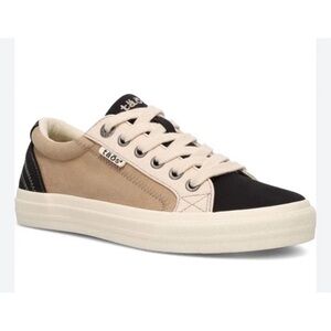 TAOS Plim Soul Multi Women's Size 11 / Black Tan Sneakers Shoes $110 Canvas
